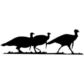 Turkeys in a line Hunt Bird strut Tom Hen Country Sticker, 5 INCH Dye Cut Decal Sticker for Bumpers Windows Cars Laptops ETC