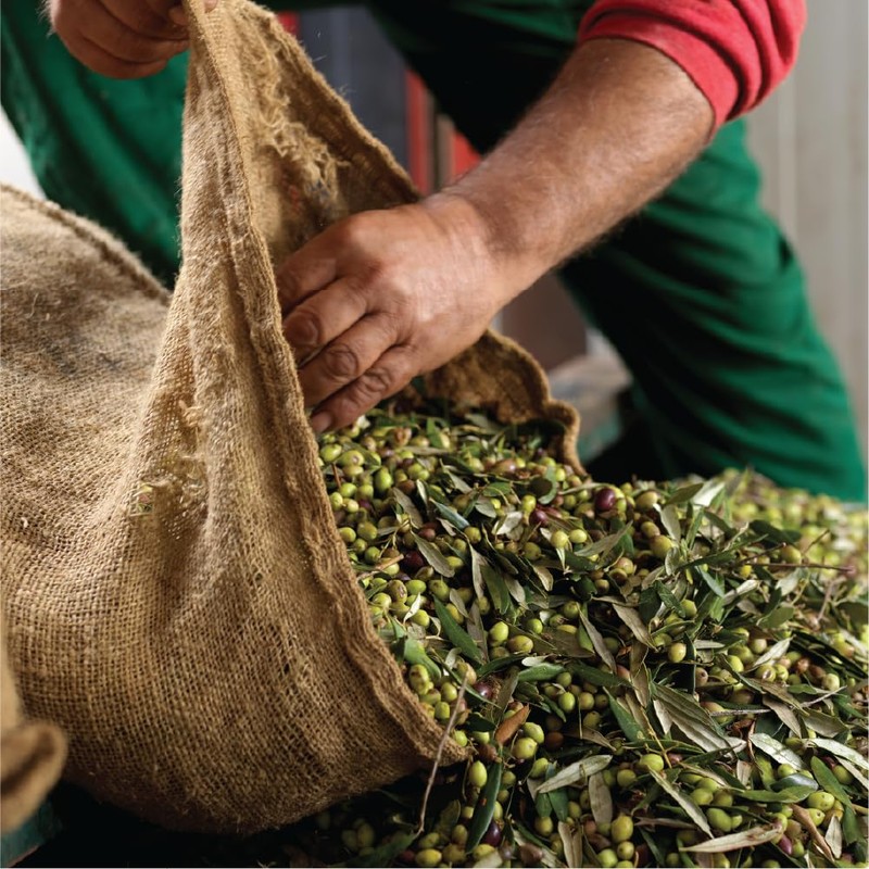 Iliada Kalamata PDO Extra Virgin Olive Oil, 1Lt | Multi-awarded