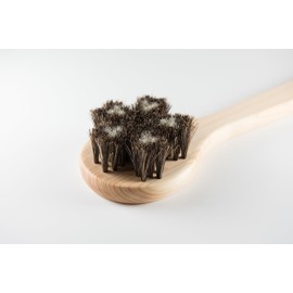 Horse Hair, Body Brush, Sakura [Adam]