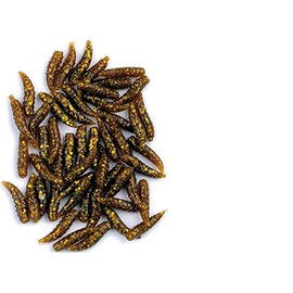 blntackle76 Behr Art Maggots Set of 2 Packs (80 in Total) Bronze Brown Glitter