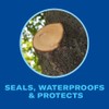 BioAdvanced Tree & Shrub Pruning Seal, Pressurized Spray Can, 13oz