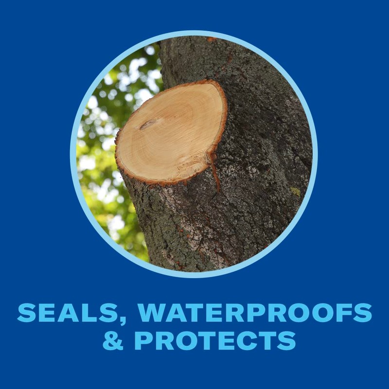 BioAdvanced Tree & Shrub Pruning Seal, Pressurized Spray Can, 13oz