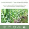 Lemongrass Essential Oil 1.01fl.oz/30ml, PHATOIL Lemongrass Oils Long Lasting Scents