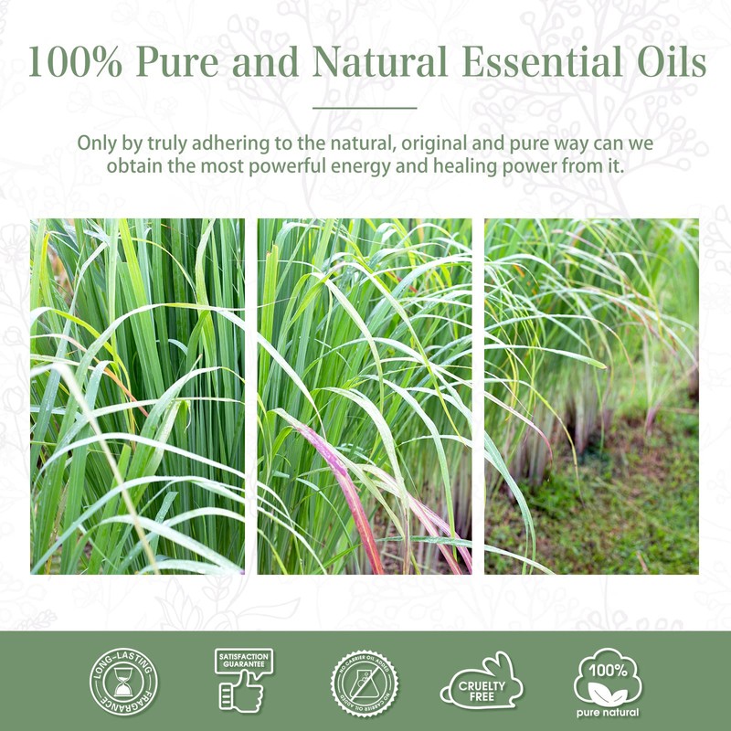 Lemongrass Essential Oil 1.01fl.oz/30ml, PHATOIL Lemongrass Oils Long Lasting Scents