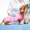 Kuoser Recovery Suit for Dogs, Soft Dog Spay Suit for