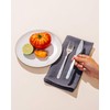 Caldo Linen Dinner Napkins - Rustic- Soft and Durable Cloth