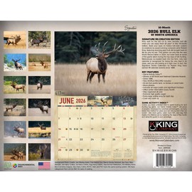 2026 Monster Bull Elk Signature Series Wall Calendar 16-Month X-Large Size 14x22, Rack, Big Antlers by The KING Company-Monster Calendars