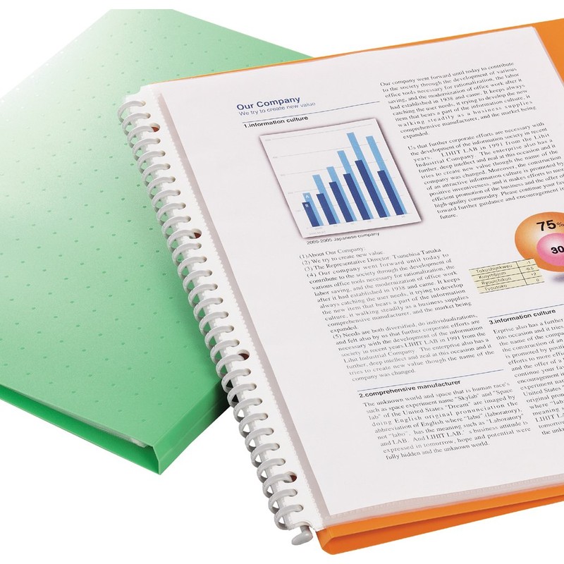 リヒトラブ ファイル クリヤーブック 交換式 A4 30穴 15ポケット 白 N5015-0