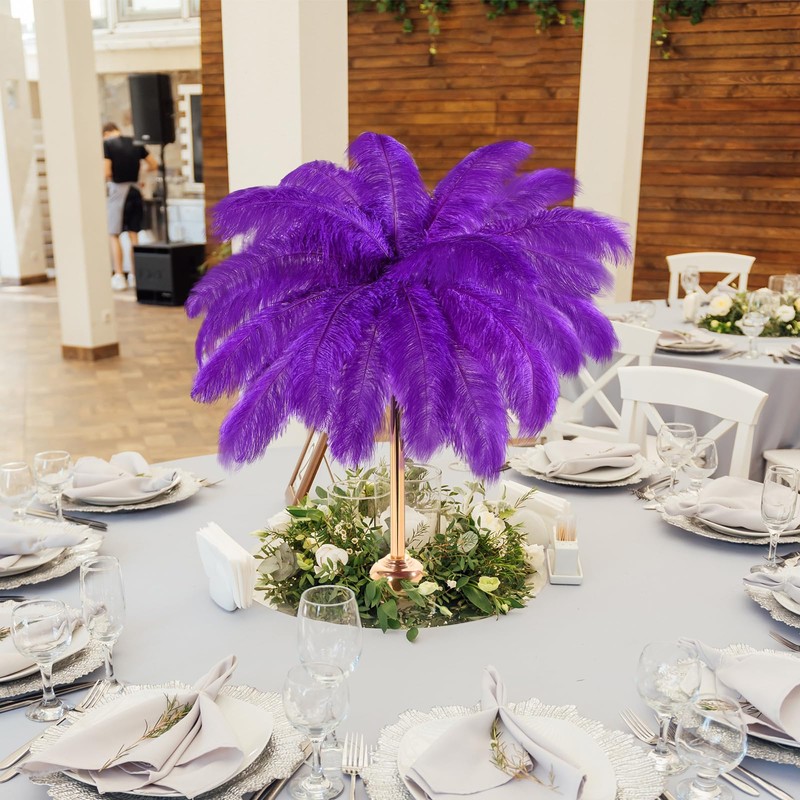 30 Pcs Large Natural Ostrich Feathers Bulk 16-18 Inch for