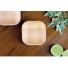 FOOGO Green 25 Disposable Mini Palm Leaf Plates, XSmall 4"(10cm)