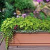 Southern Patio 24" Medallion Window Box, Terra Cotta