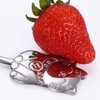 MUUYYI Stainless Steel Coffee Dessert Spoon Cute Cat Shape Teaspoon