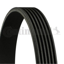 CONTITECH 6pk799 Elast V-belt ribbed