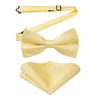 HISDERN Yellow Bow Ties Men Pre-tied Paisley Bow Tie and