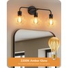 EDISHINE Vintage LED Edison Bulbs 8W, 60W Equivalent, 2200K Amber