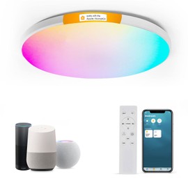 Smart Ceiling Light Work with HomeKit, Alexa and Google Home RGBCW LED Light Group Control Timer Schedule 24W Flush Mount Ceiling