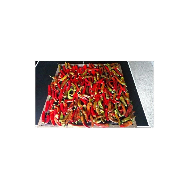 American Seed Hatch Sandia Chili Pepper Seeds, NuMex, Hot Green