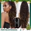 Ponytail Extension Claw 30" Curly Pony Tail Clip in Claw
