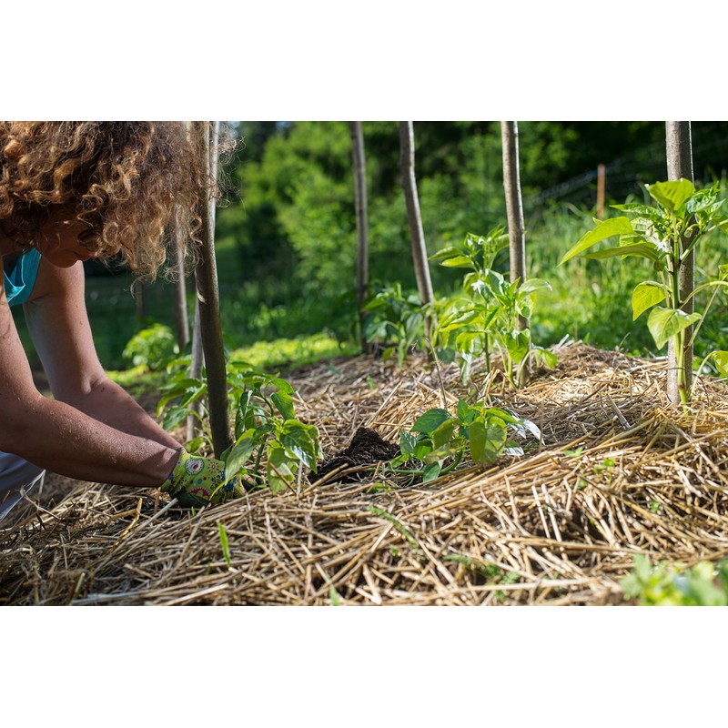 Thunder Acres 100 Percent Natural Wheat Straw (8 lbs.)