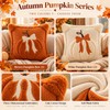 3D Plush Pumpkin Pillow Cover for Fall Decorating – Soft