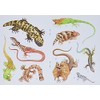 Lizards Stickers
