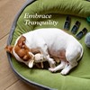 PURSONIC Pet Friendly Aromatherapy Essential Oils Collection, 6-Count - Safe