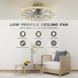 lifeholder Low Profile Ceiling Fan with Lights Remote 20" Ceiling Fan Flush Mount Enclosed Ceiling Light Dimmable Ceiling Lights Chandeliers Handmade Silver