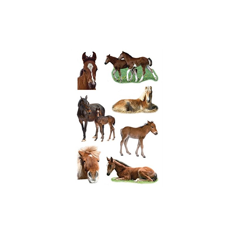 Avery Zweckform CRE Foal Photo Paper Stickers - 3 Sheets