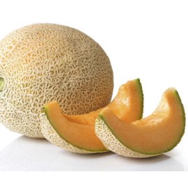 The Gardening World 250 Hales Best Jumbo Melon Seeds Cantaloupe Muskmelon Heirloom