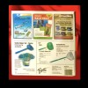 Hiviz- Betts Billy Bay Hiviz Razor Sharp 11" FILET Fillet
