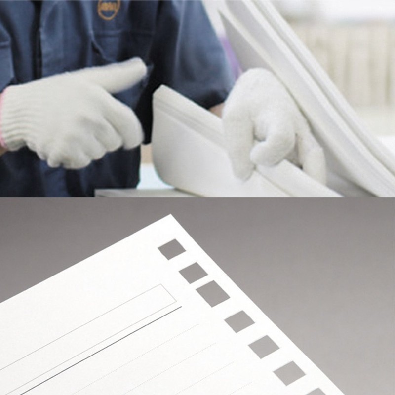 Maruman loose-leaf ziurisu A5 20 Hole 5 mm Grid Ruled