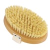 Massage Body Bath Brush Lymphatic Drainage Exfoliating Detox Deep Cleaning