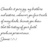 Tapestry Of Truth - James 1:2-3 - TOT2053 - Wall