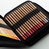 Arta : Black Pencil Case : Holds up to 115