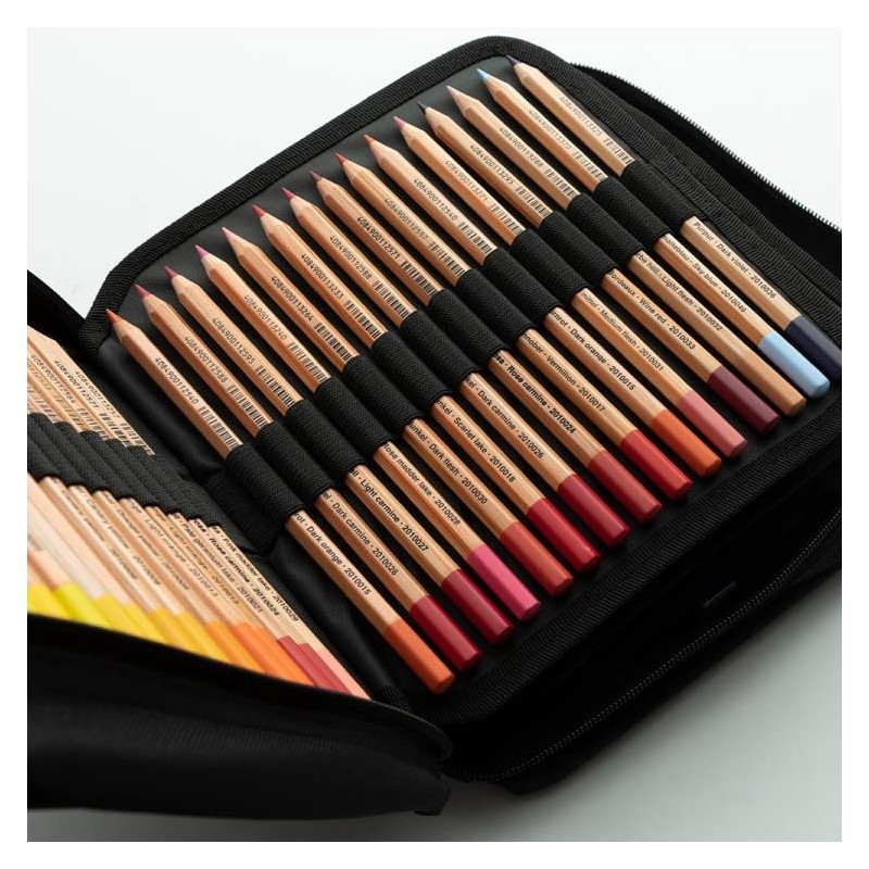 Arta : Black Pencil Case : Holds up to 115