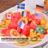 Anley Assorted 100 Different Countries Toothpick Flag - Vivid Double