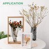 M METERXITY 2-Pack Dried Flower Frame, 5 x 7 Inch