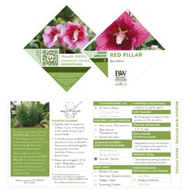 2g Proven Winners Hibiscus Red Pillar