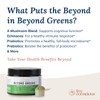 Live Conscious Beyond Greens Concentrated Superfood Powder - Matcha Flavor
