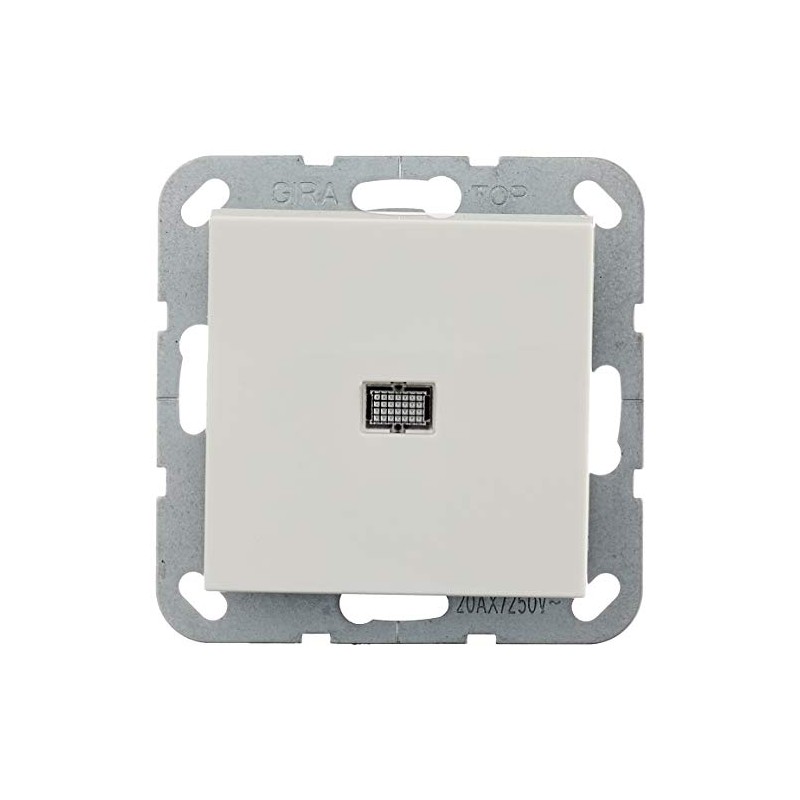 Gira System 55 283403 Rocker Switch 2-Pole Control 20 A