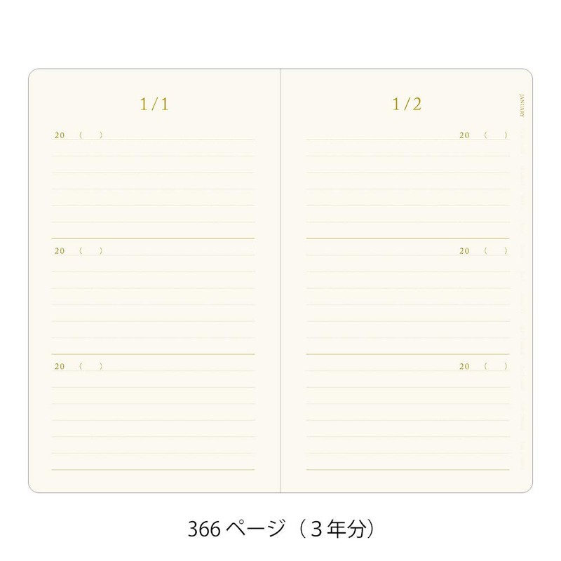 Midori 12889006 Diary, 3 Year Consecutive Recycled Leather, Black