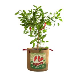 Panacea Products 10 Gallon Grow Bag Peppers