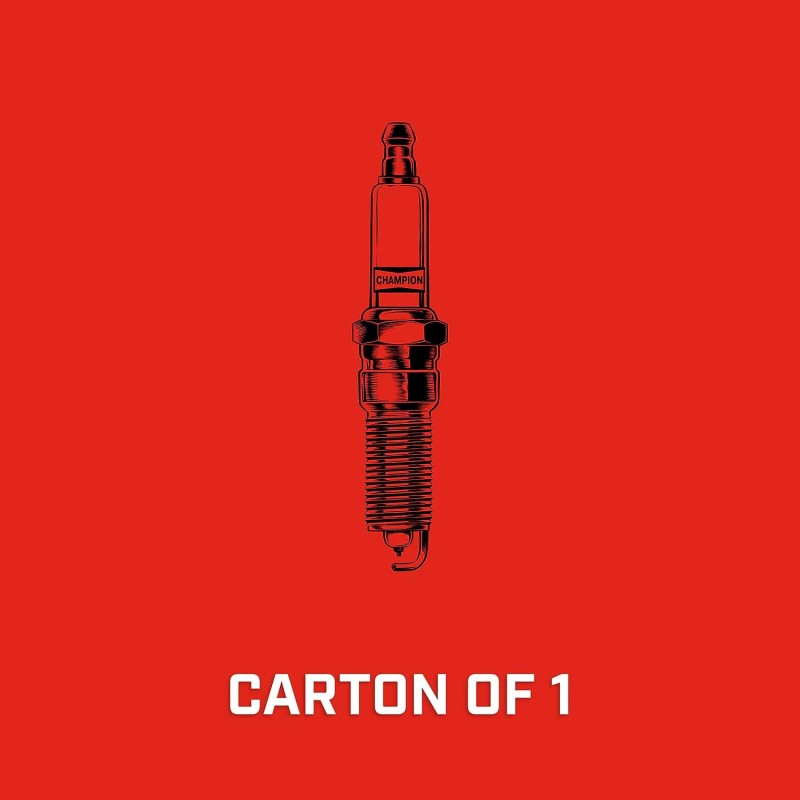 Champion Iridium 9802 Spark Plug (Carton of 1) - RC8WYPB4
