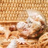 Shells Mixed, Natural Shells, Beach Shells, Craft Shells, Decorative Shells,
