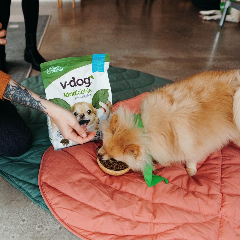 V-dog Vegan Mini Kibble Dry Dog Food (4.5 LB) Small