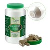 VITA IDEAL Vegan® Vitaide Root Mouse Buckle, 90 Capsules -