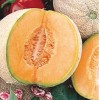 Womack Farm Edisto 47 Cantaloupe Seeds, 25+ Seeds. Heirloom~Non-G