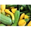 Summer Squash Mix Seeds