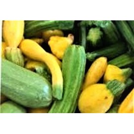 Summer Squash Mix Seeds