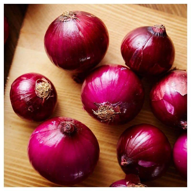 Everwilde Farms - 1 Lb Ruby Red Onion Seeds -